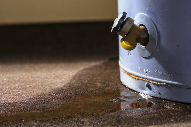  Rancho Mirage, CA Water damage restoration Pros