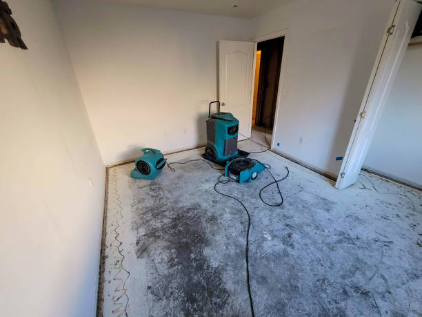 Reliable Rancho Mirage, CA Water damage restoration Solutions