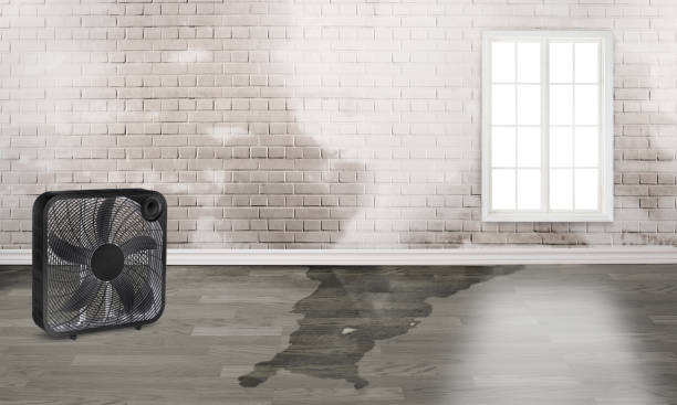 Best Residential water damage restoration  in Rancho Mirage, CA