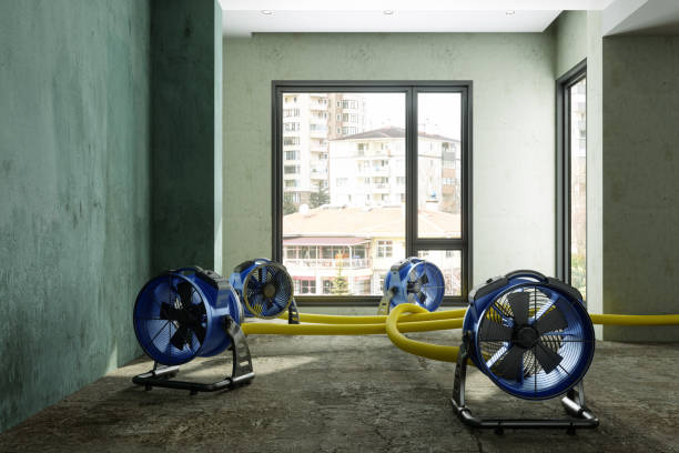 Best Water damage contractors near me  in Rancho Mirage, CA