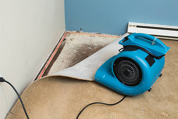 Best Water damage restoration cost  in Rancho Mirage, CA